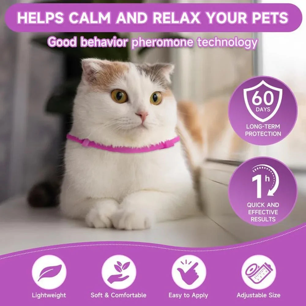 Dog Cat Calming Collar Neck Strap Plastic Cat Soothing Collar Adjustable Relieve Anxiety Remove Restlessness Pet Calming Product