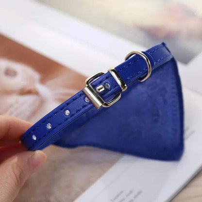 Adjustable Dog Collar with Scarf - Small to Medium Breeds