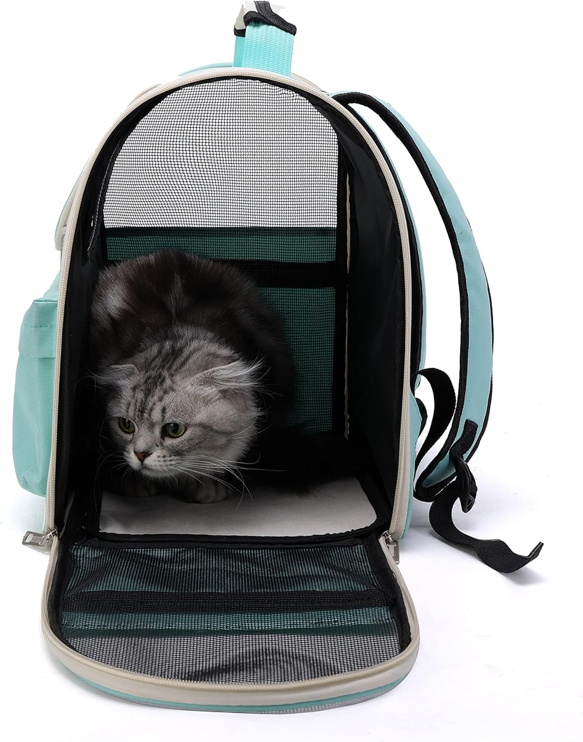 Pet Cute Foldable Capsule Backpack for Small, Medium Cats, Puppies, Dogs, Transparent, Breathable, Heat Resistant Carry Bag for Travel, Hiking, Camping (Purple)