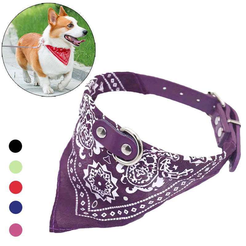 Adjustable Dog Collar with Scarf - Small to Medium Breeds