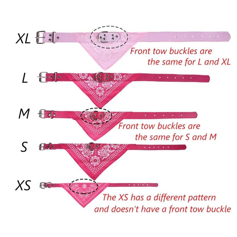 Adjustable Dog Collar with Scarf - Small to Medium Breeds