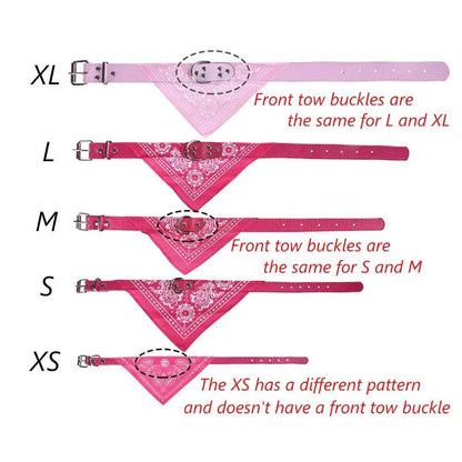 Adjustable Dog Collar with Scarf - Small to Medium Breeds