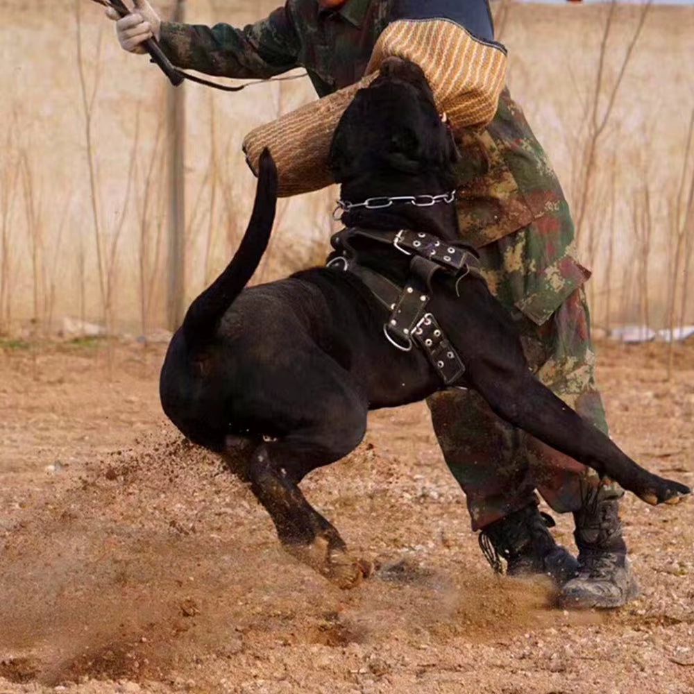 Dog Weight Pulling Harness Strong Nylon Pet Dog Training Harness Products Large Dogs for German Shepherd Big Dog Agility Product