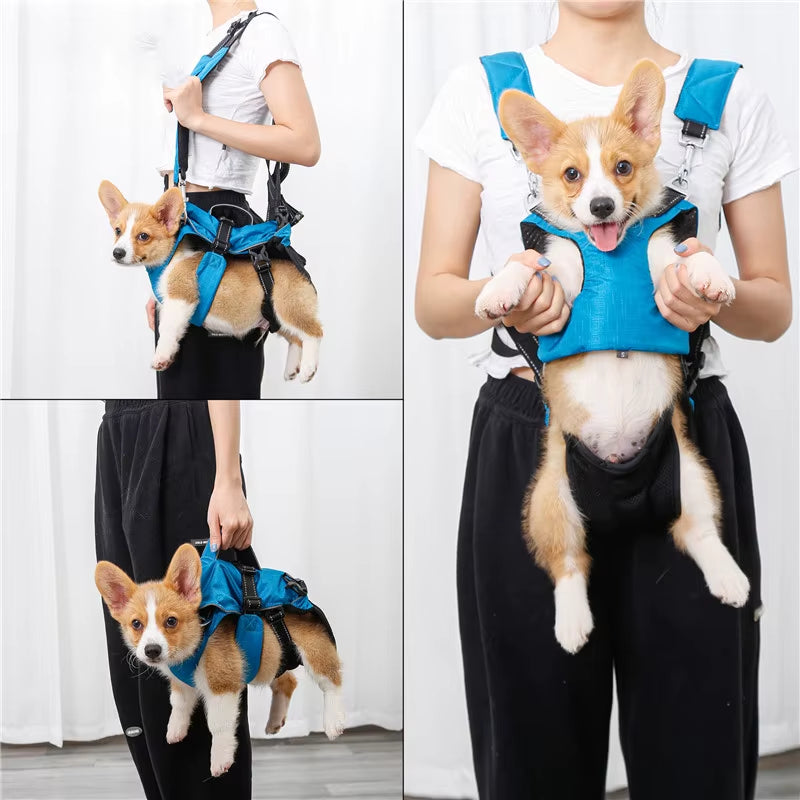 4-In-1 Function Dog Chest Backpack Breathable Reflective Dog Harness with Walking Lead Outdoor Puppy Handbag Pet Harness Carrier