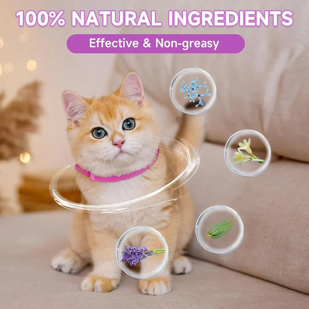 Dog Cat Calming Collar Neck Strap Plastic Cat Soothing Collar Adjustable Relieve Anxiety Remove Restlessness Pet Calming Product